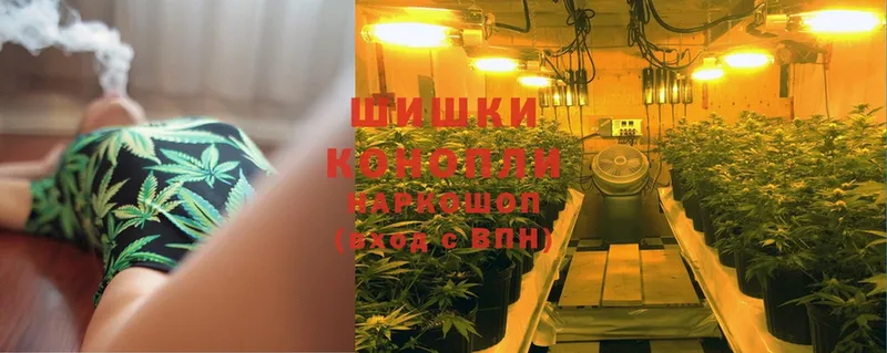 купить   Тверь  Конопля план 